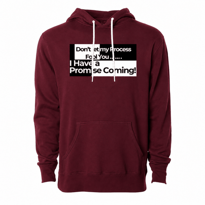 Don't Let My Process Fool You...Hoodie