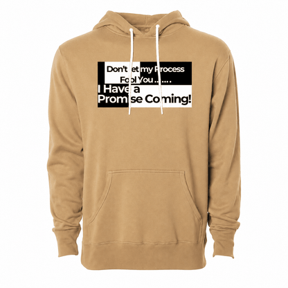 Don't Let My Process Fool You...Hoodie