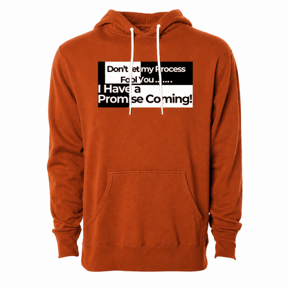 Don't Let My Process Fool You...Hoodie